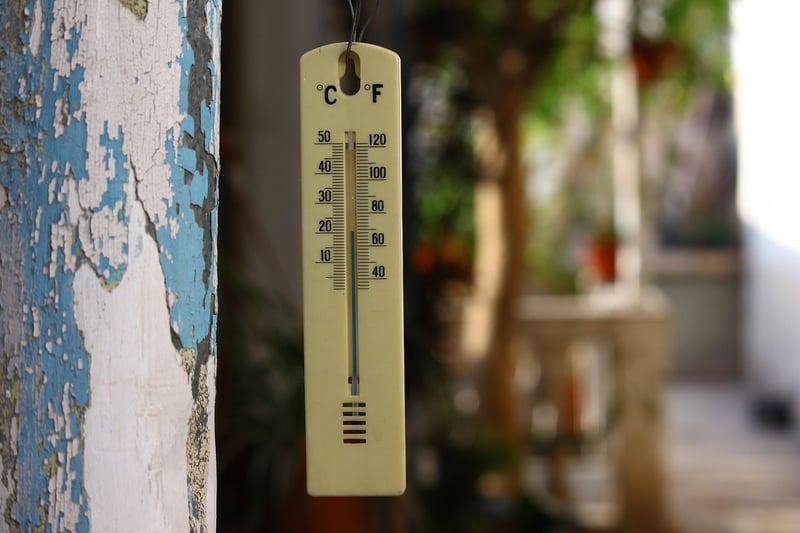 Bluetooth Meat Thermometer